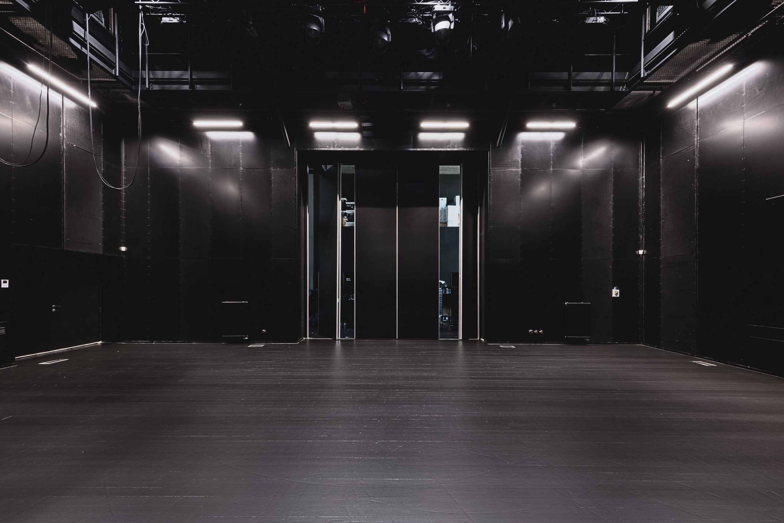 LIETUVOS MUZIKOS IR TEATRO AKADEMIJA